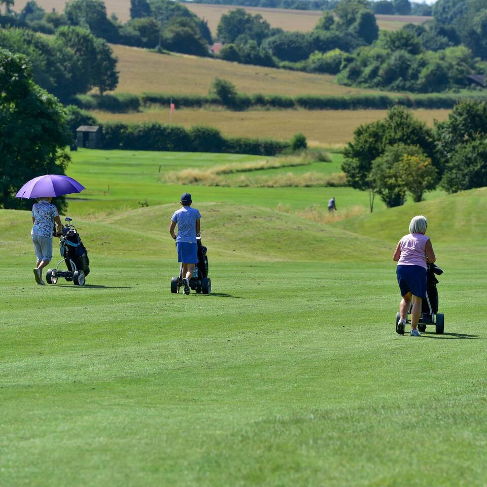Golf Days Image